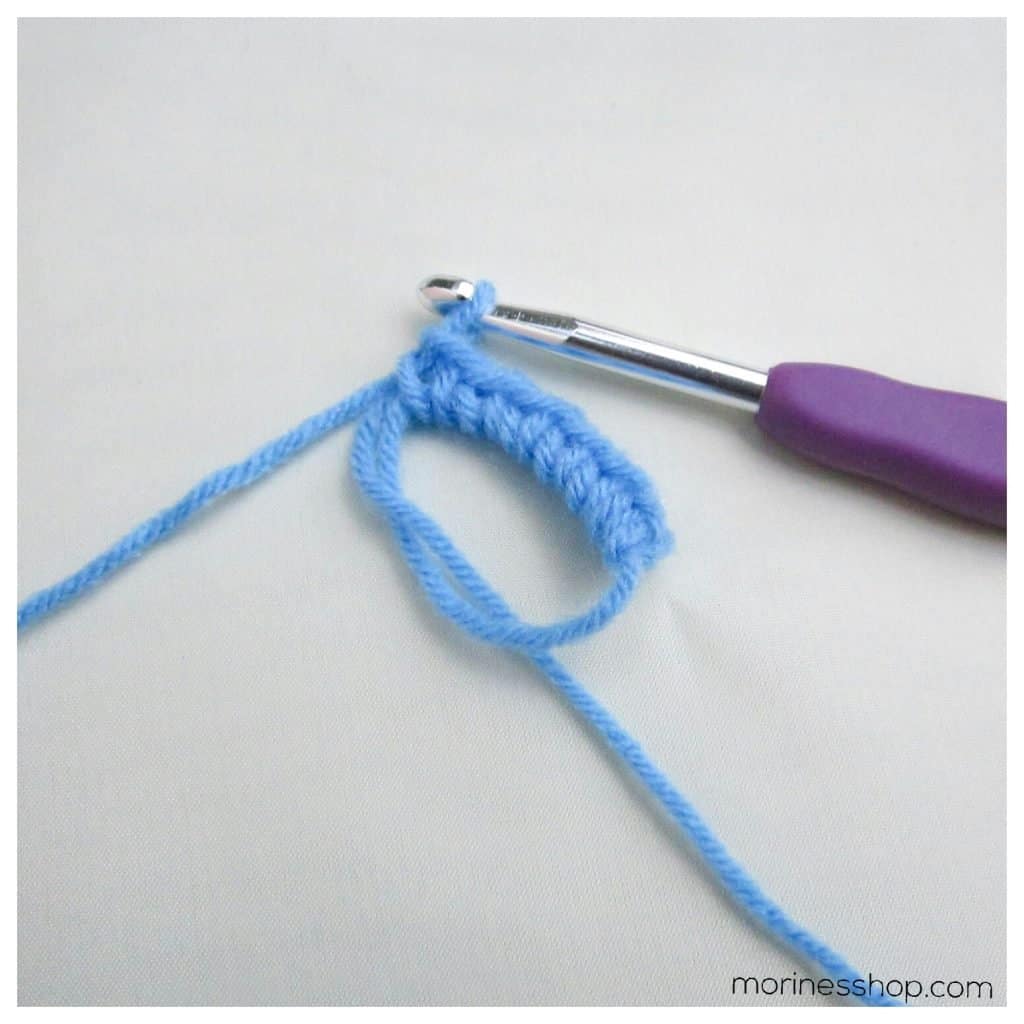 six complete single crochet stitches through the magic circle