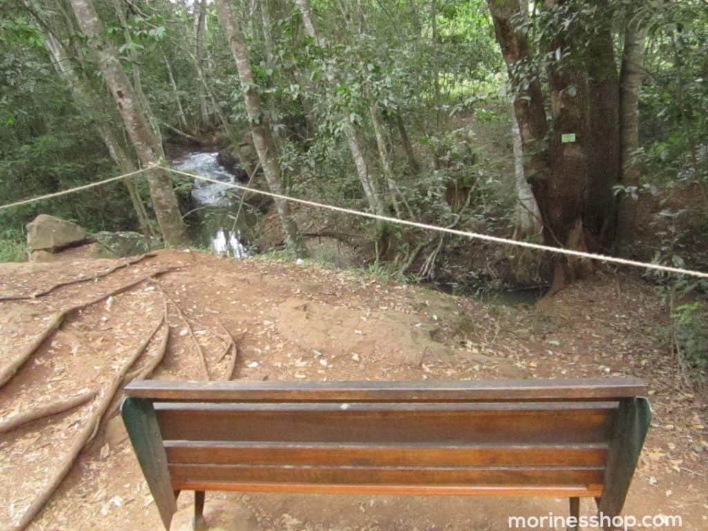Bench beside river bed