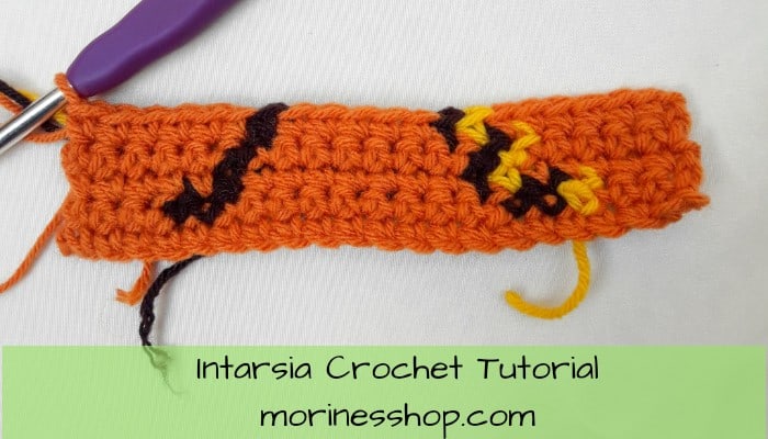 A well detailed intarsia crochet tutorial which includes photos tutorials, tips and tricks and how to read a pattern from a graph #IntarsiaCrochet #TapestryCrochet #IntarsiaCrochetTutorial #CrochetTutorial #CrochetColorWork