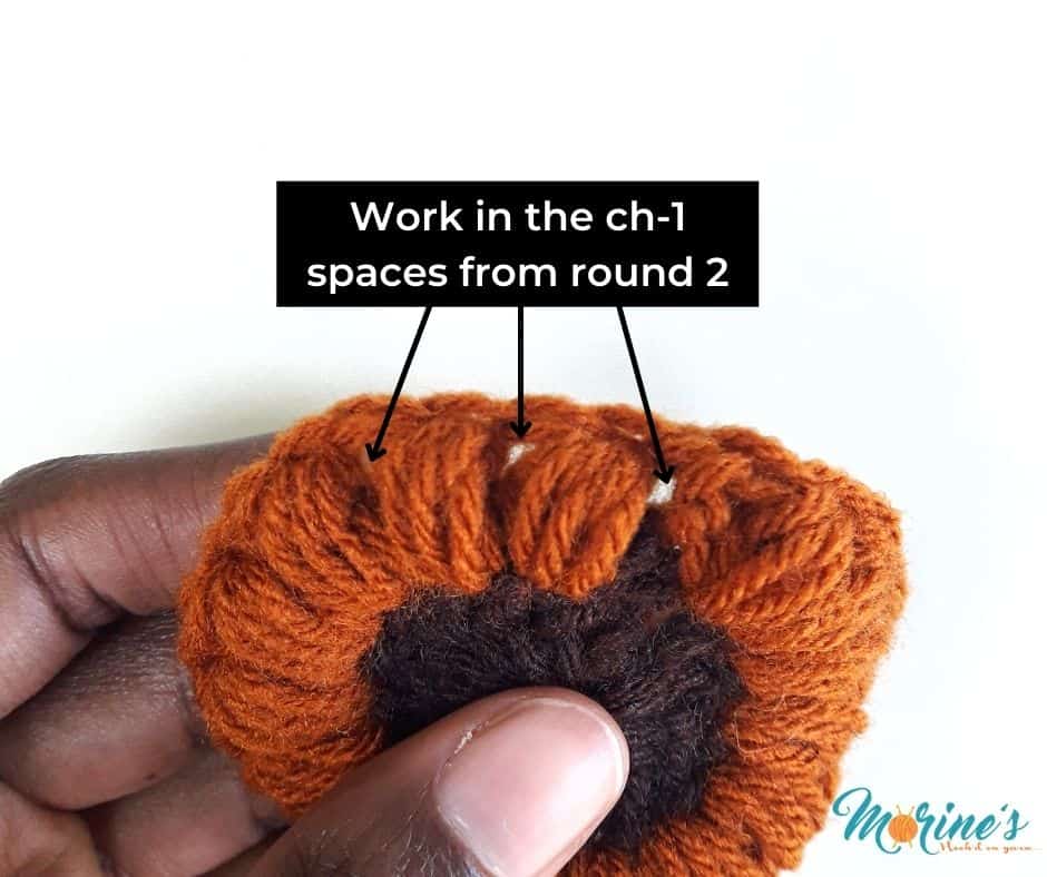  After that,  you will work your bobbles in the ch-1 spaces from the previous round.