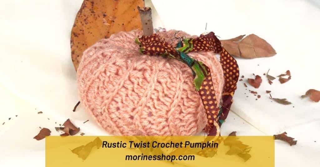 Make your very own Rustic Twist Pumpkin using this free textured crochet pumpkin pattern. An easy project for beginners, fairs and home décor.