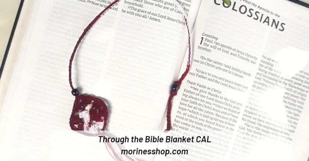 Through the Bible CAL is a simple blanket CAL to help you completely go through the Bible in a year while crocheting a blanket!
